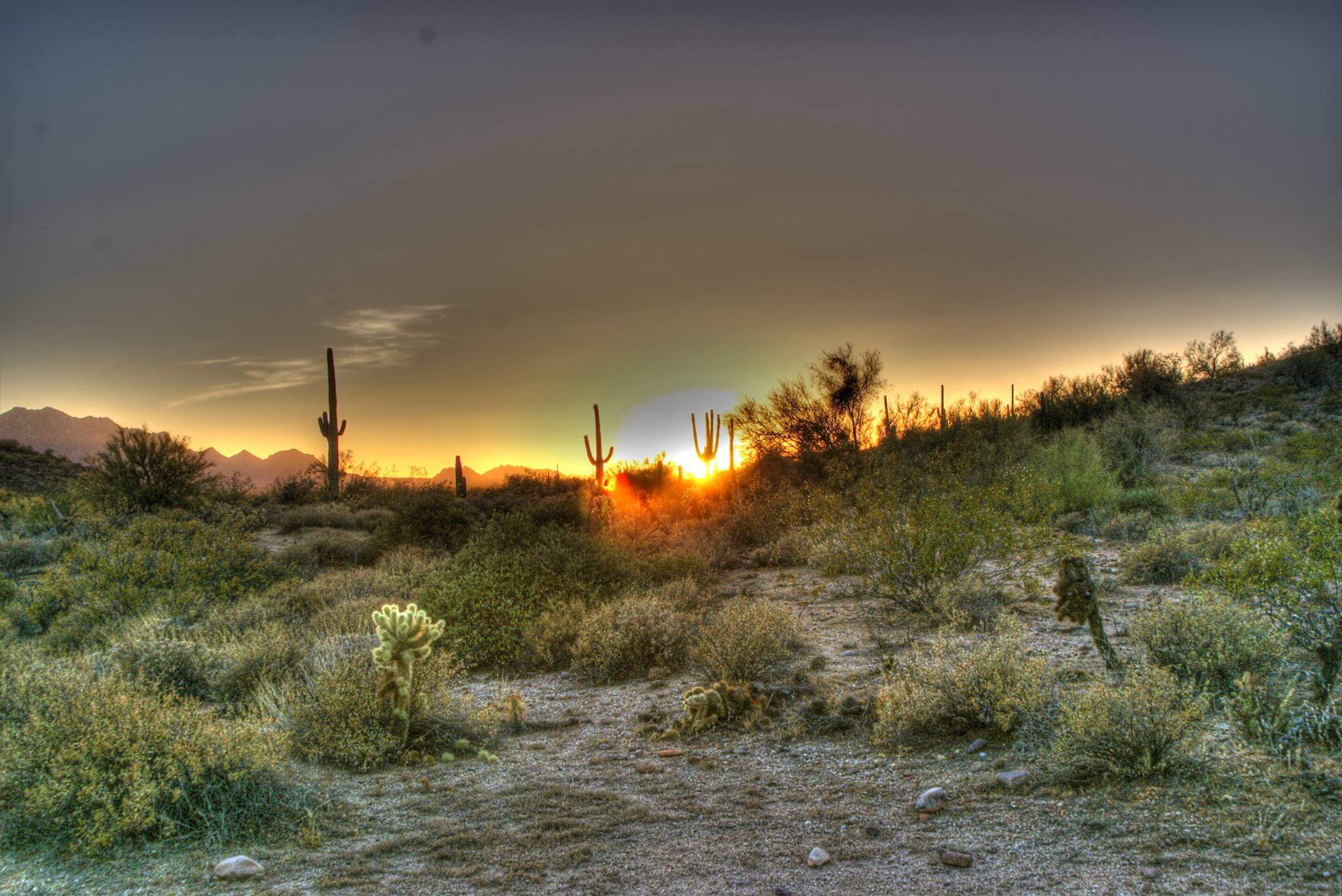 Wouldn't this distract you too?? Photo Cred: B. Swanson