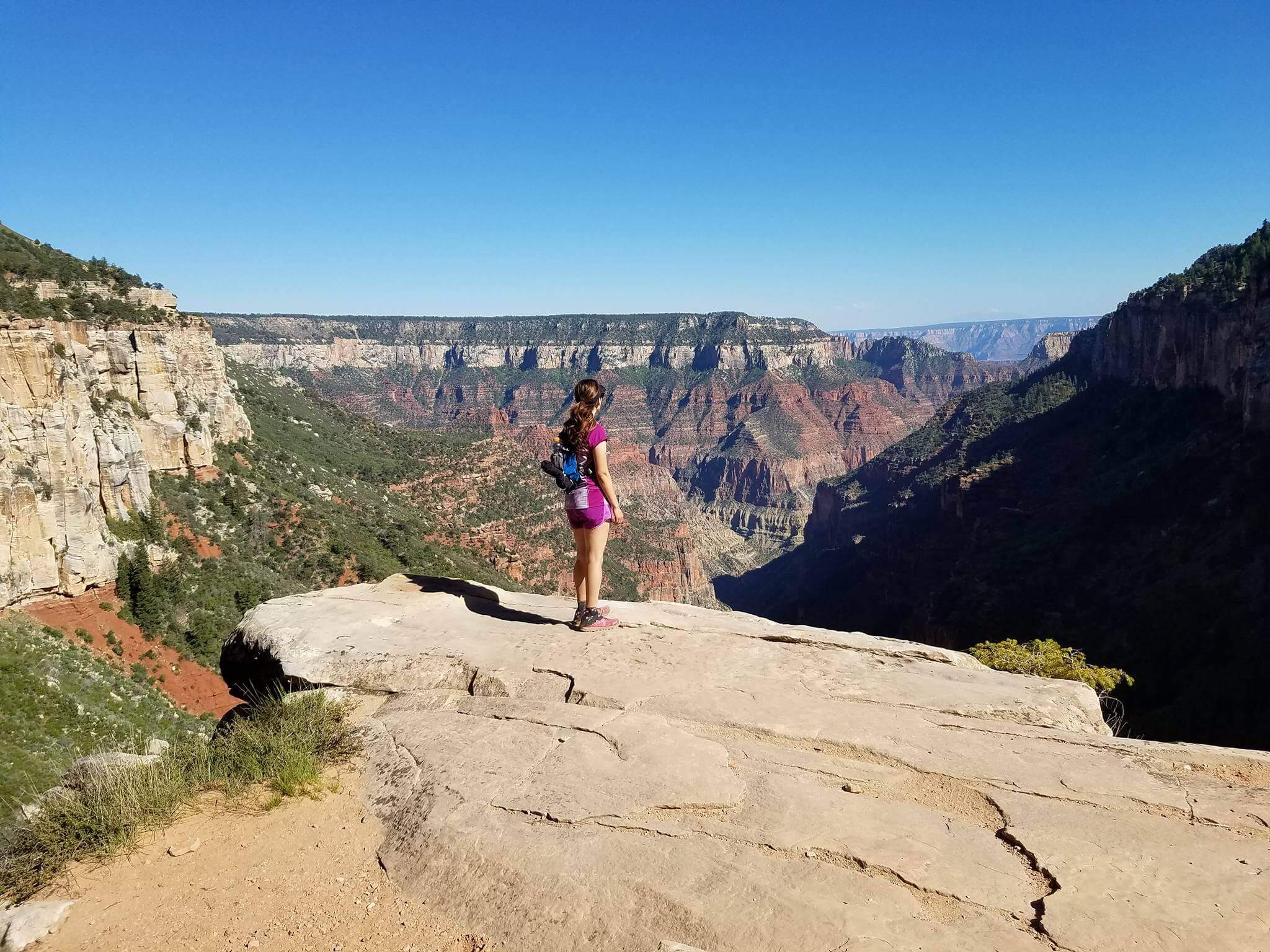 Looking back at what we crossed: The Grand Canyon.